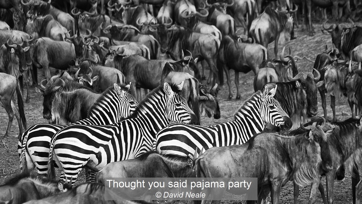 Thought you said pajama party